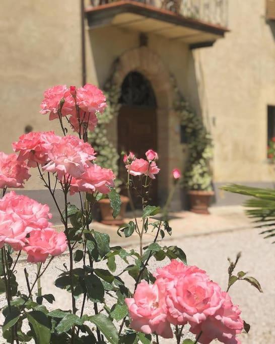 "Villa Bizzi" Monte Castelli Eksteriør billede