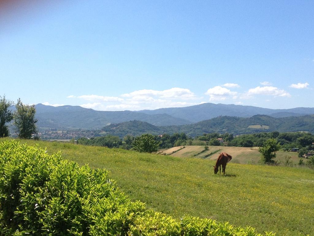 "Villa Bizzi" Monte Castelli Eksteriør billede